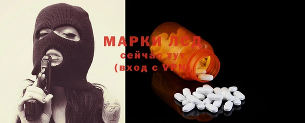 сатива Медвежьегорск