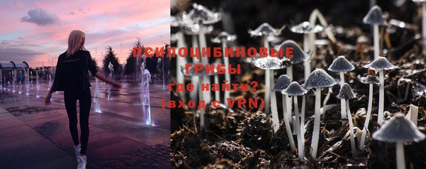 ПСИЛОЦИБИНОВЫЕ ГРИБЫ Мегион
