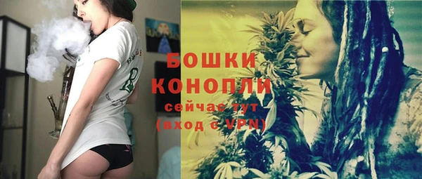 сатива Медвежьегорск