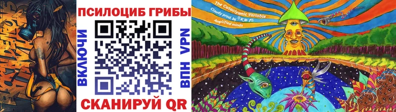 Псилоцибиновые грибы Psilocybine cubensis мориарти официальный сайт Николаевск
